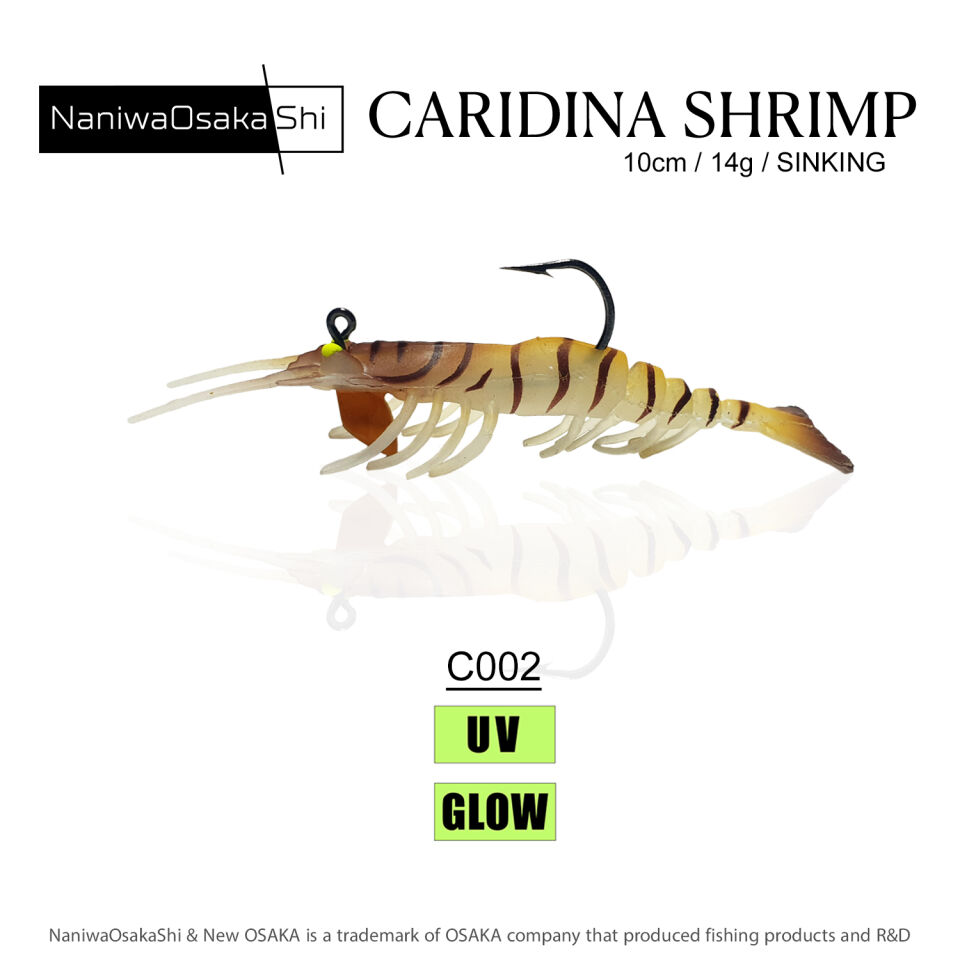 NaniwaOsakaShi Caridina Shrimp 10cm 14Gr