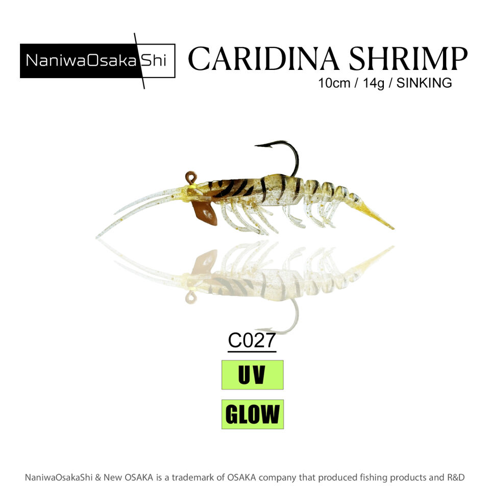 NaniwaOsakaShi Caridina Shrimp 10cm 14Gr