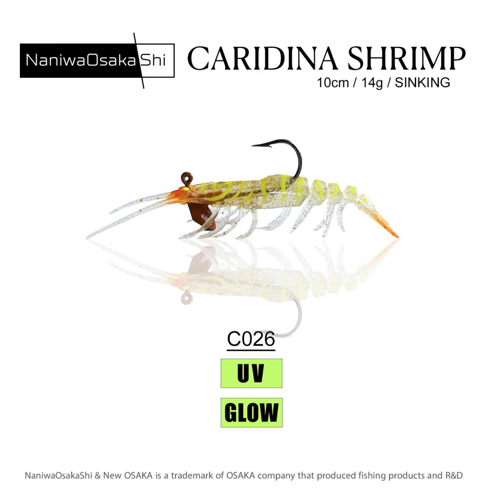 NaniwaOsakaShi Caridina Shrimp 10cm 14Gr C026
