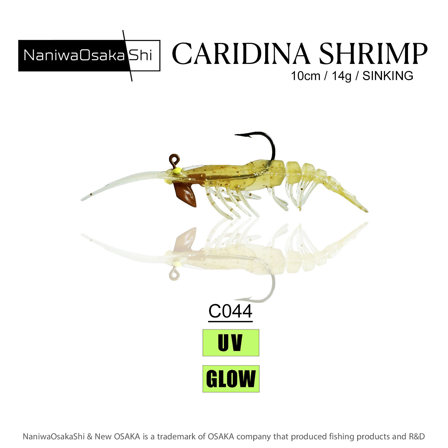 NaniwaOsakaShi Caridina Shrimp 10cm 14Gr C044