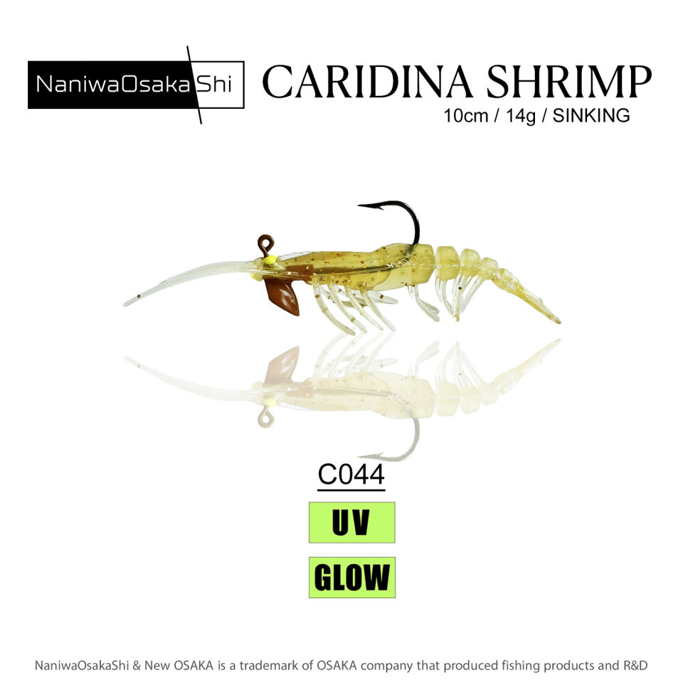 NaniwaOsakaShi Caridina Shrimp 10cm 14Gr C044