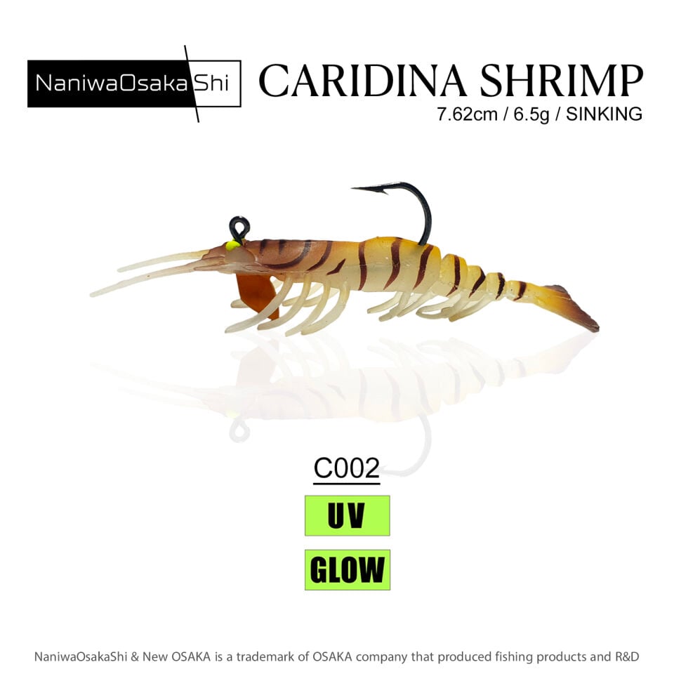 NaniwaOsakaShi Caridina Shrimp 7,62cm 6,5Gr