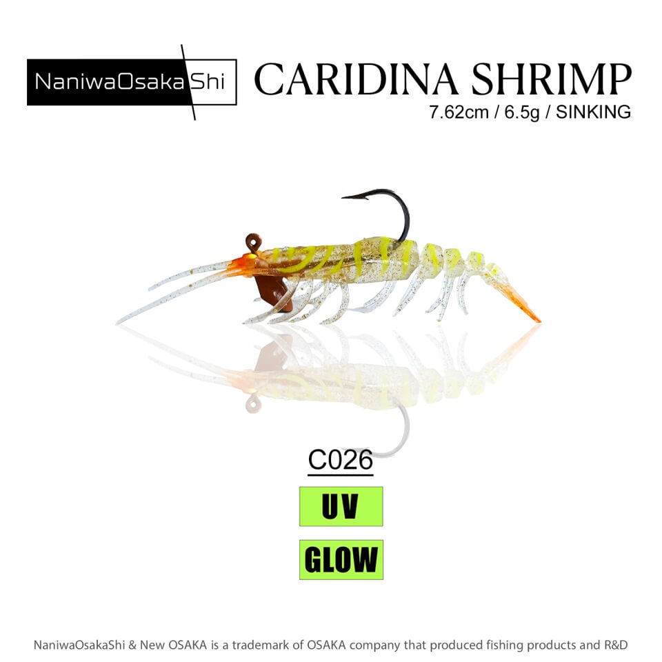 NaniwaOsakaShi Caridina Shrimp 7,62cm 6,5Gr