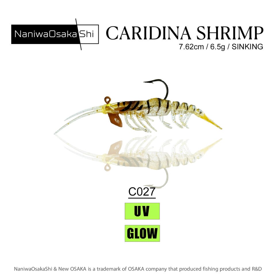 NaniwaOsakaShi Caridina Shrimp 7,62cm 6,5Gr