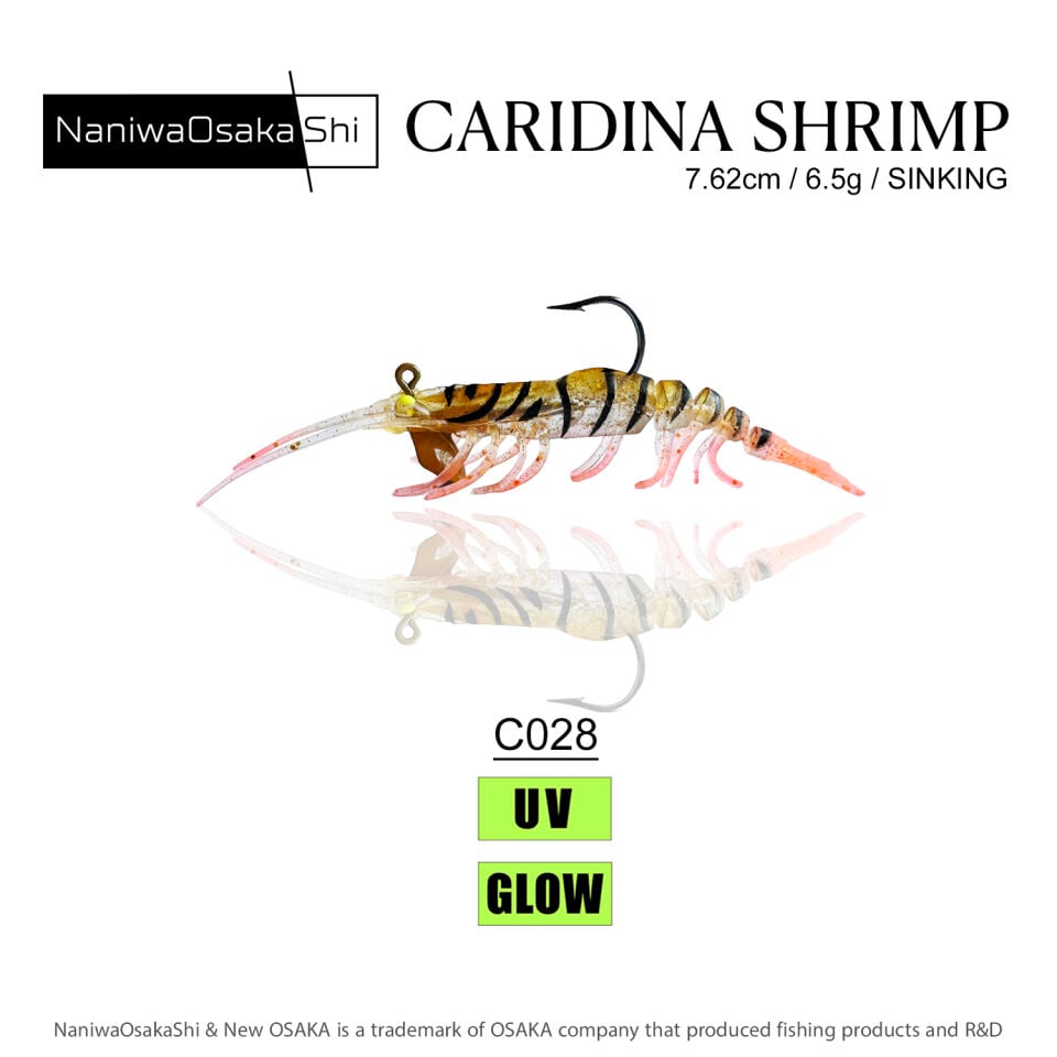 NaniwaOsakaShi Caridina Shrimp 7,62cm 6,5Gr