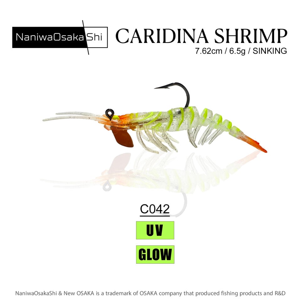 NaniwaOsakaShi Caridina Shrimp 7,62cm 6,5Gr