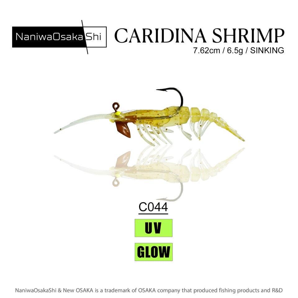 NaniwaOsakaShi Caridina Shrimp 7,62cm 6,5Gr