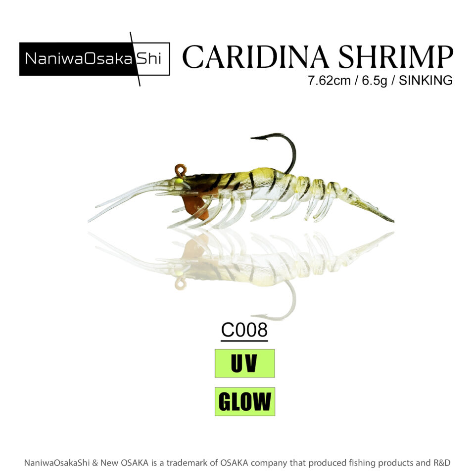 NaniwaOsakaShi Caridina Shrimp 7,62cm 6,5Gr C008