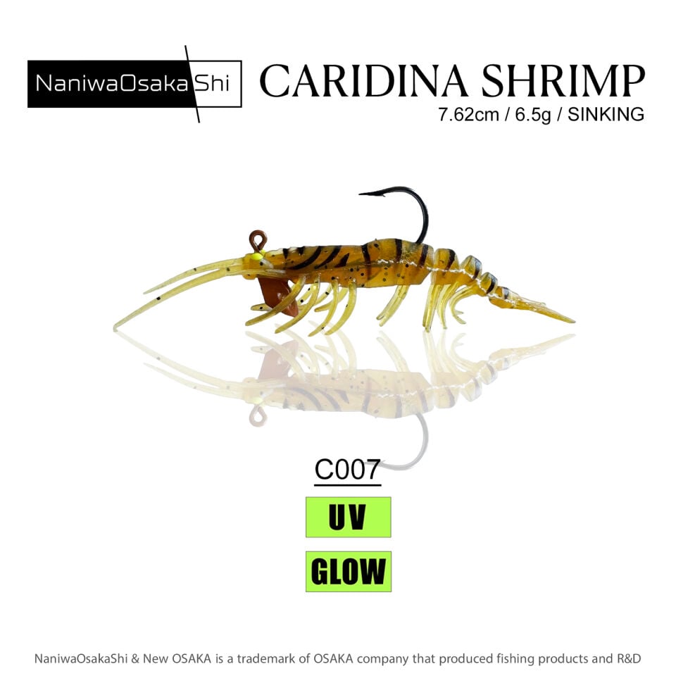 NaniwaOsakaShi Caridina Shrimp 7,62cm 6,5Gr C007