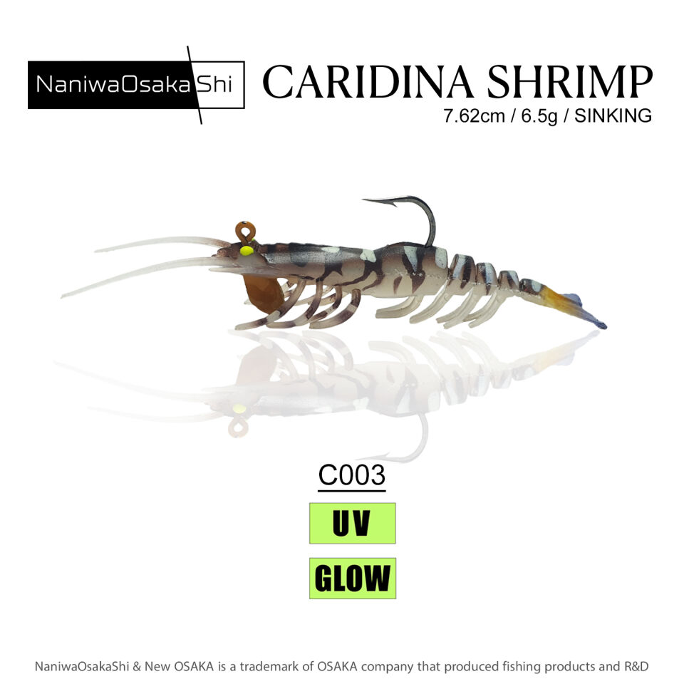 NaniwaOsakaShi Caridina Shrimp 7,62cm 6,5Gr C003