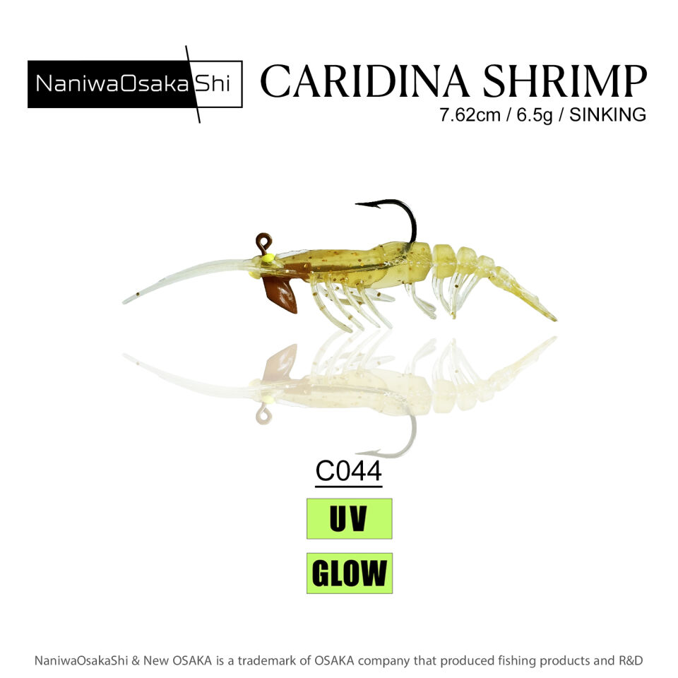NaniwaOsakaShi Caridina Shrimp 7,62cm 6,5Gr C044