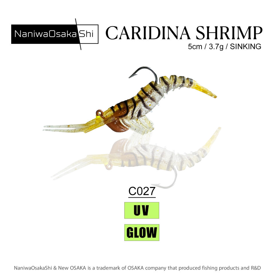 NaniwaOsakaShi Caridina Shrimp 5cm 3,5Gr
