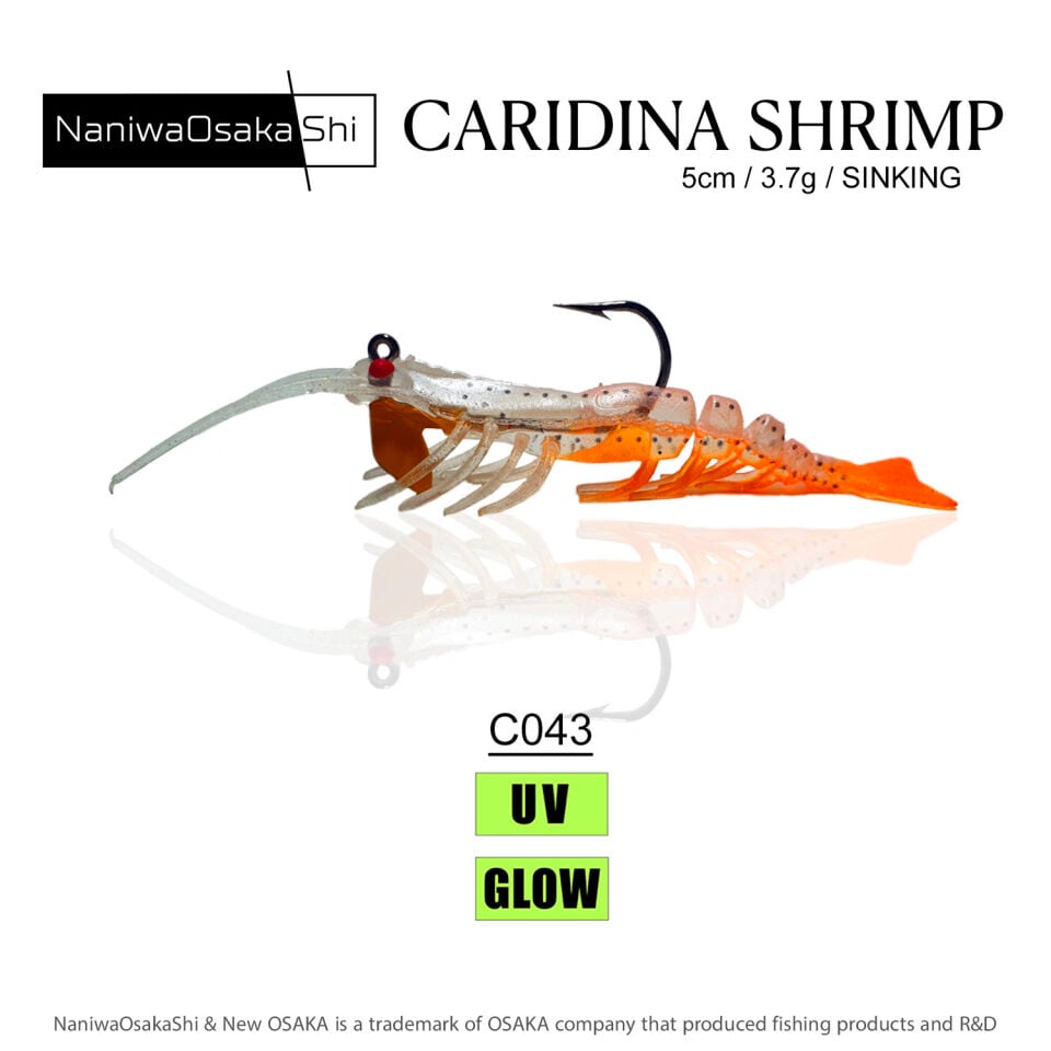NaniwaOsakaShi Caridina Shrimp 5cm 3,5Gr