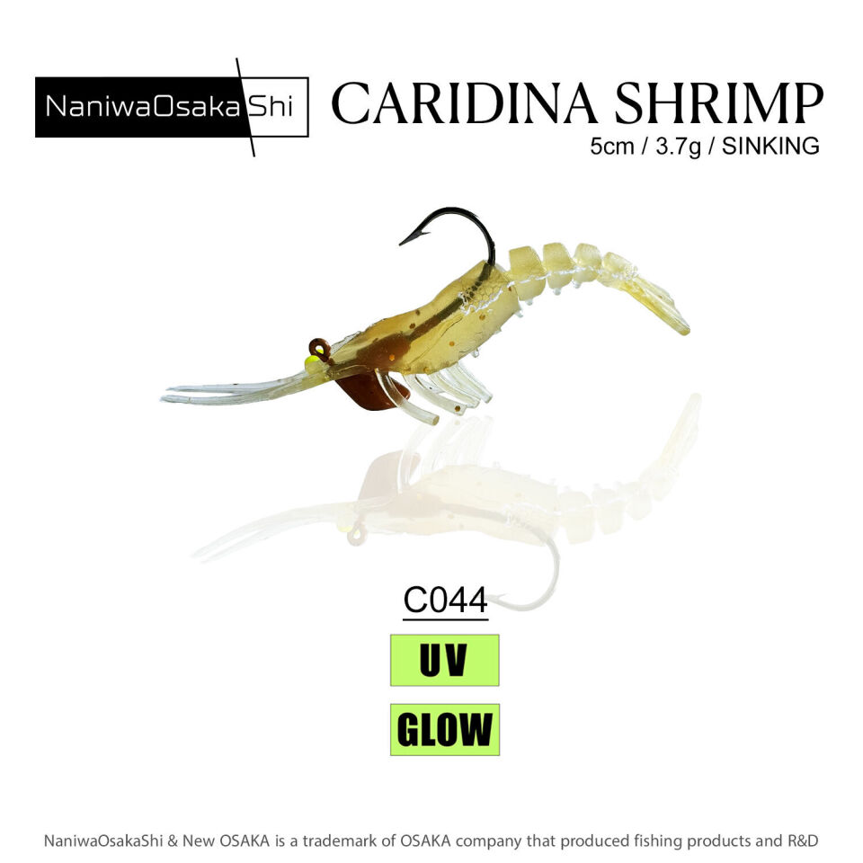 NaniwaOsakaShi Caridina Shrimp 5cm 3,5Gr