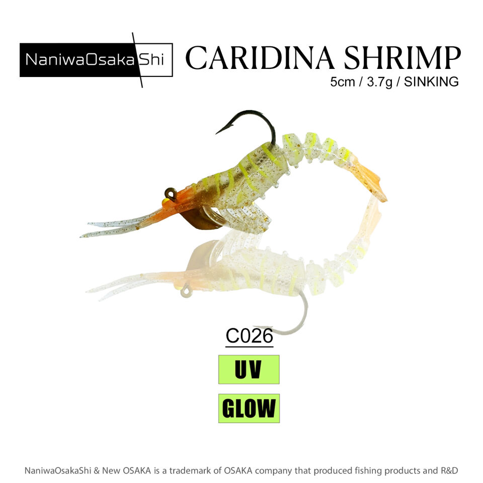 NaniwaOsakaShi Caridina Shrimp 5cm 3,5Gr