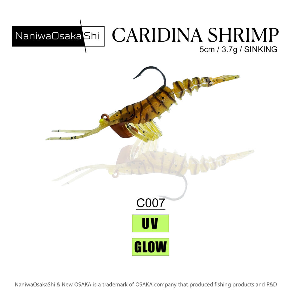 NaniwaOsakaShi Caridina Shrimp 5cm 3,5Gr C007